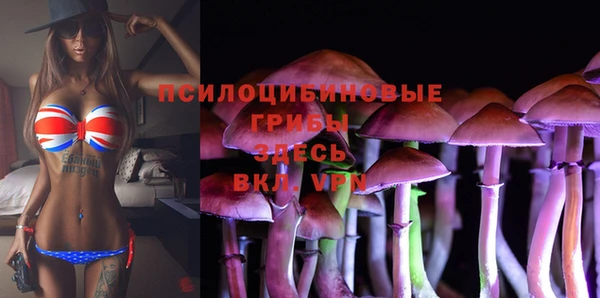 MDMA Premium VHQ Богородск