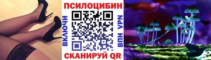 Галлюциногенные грибы ЛСД Купить где Елизово
